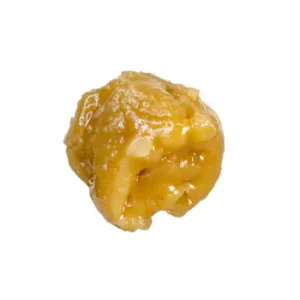 Live Budder